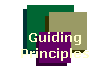 NewView Guiding Principles